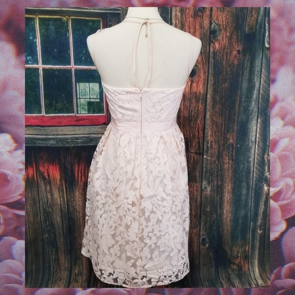 Maggie London Blush Lace & Mesh Midi - Picture 3 of 7